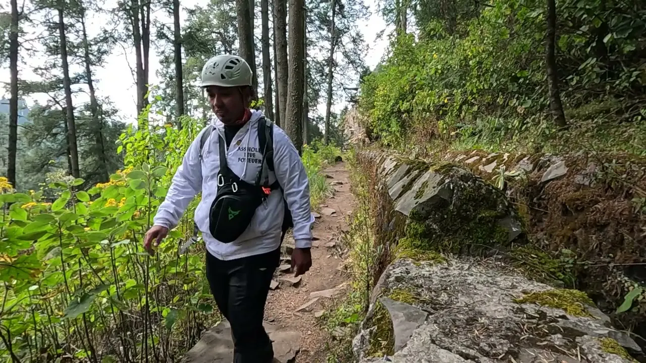 Caminando entre pinos rumbo a la cascada