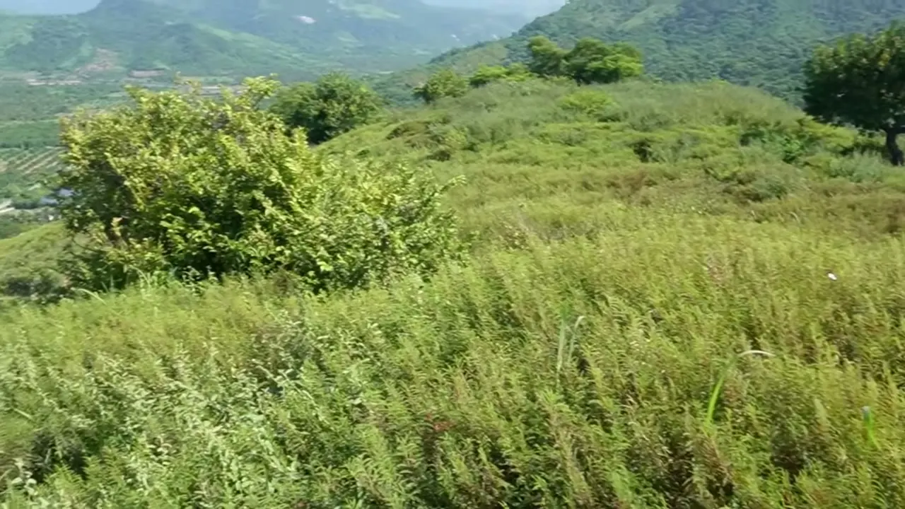 Las laderas verdes del cerro, al final de la temporada de lluvias