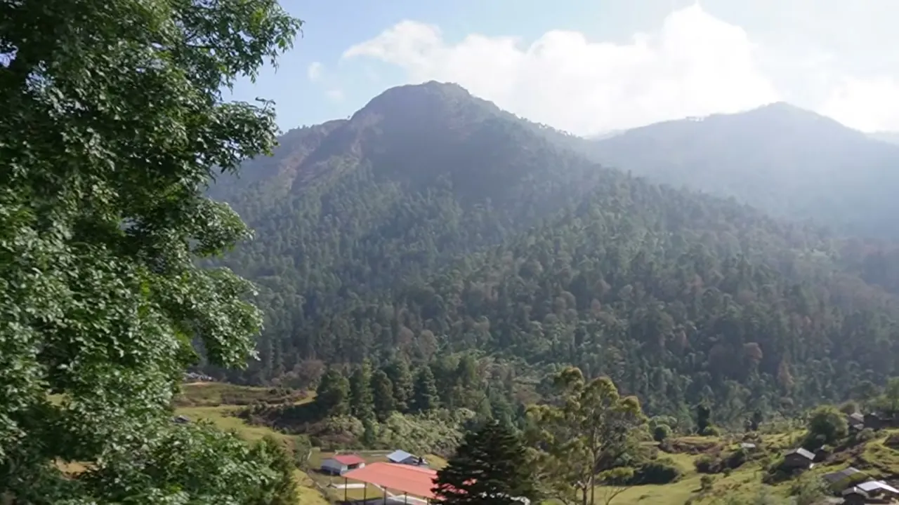 Subir al Teotepec, la montaña más alta de Guerrero (3,550 msnm) desde Puerto del Gallo